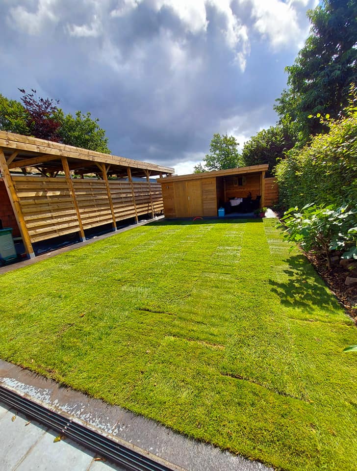 gras zaaien